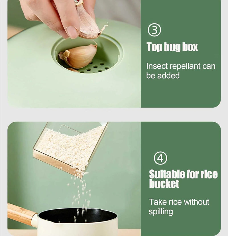 Organizador de Grãos para Cozinha com Dispenser 360° C/ 6 Compartimentos