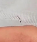 Tela Mosquiteira Autoadesiva para Portas e Janelas