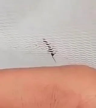 Tela Mosquiteira Autoadesiva para Portas e Janelas