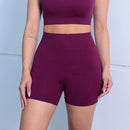 Shorts Feminino Fitness Levanta Bumbum